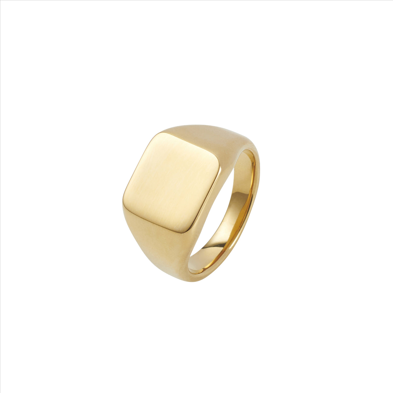 IP 14K Gold Polished Stainless Steel Signet Ring